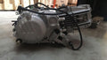 BLOCCO motore 190cc ZHONG SHENG GPX 190cc 4 TEMPI PIT BIKE