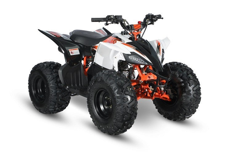 AT125 PREDATOR - MINI QUAD ATV 125cc SEMIAUTOMATICO 4 TEMPI BY KAYO