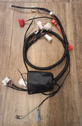 CABLAGGIO QUAD KAYO  A150 4 TEMPI