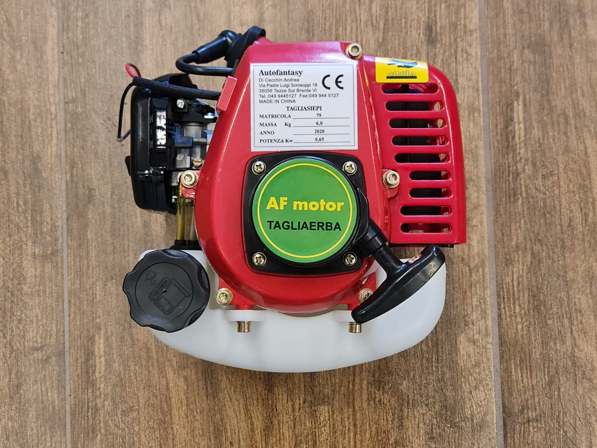 BLOCCO MOTORE 25cc 0,65KW TAGLIASIEPI TAGLIAERBA COMPLETO FRIZIONE