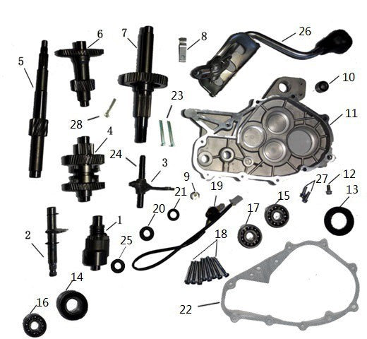 CARTER BLOCCO MOTORE GY6 PER QUAD KAYO AU180 180cc
