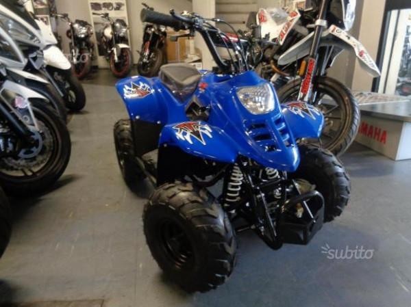 CARENE PLASTICHE QUAD 110CC 6" NORMALE BAMBOO SCOCCA ESCLUSO PEDANE FANALI CARENA