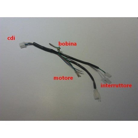 IMPIANTO CABLAGGIO ELETTRICO PRIMARIO PER PIT BIKE