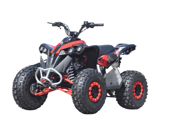 QUAD ATV RENEGADE 125 XXL RUOTE 8