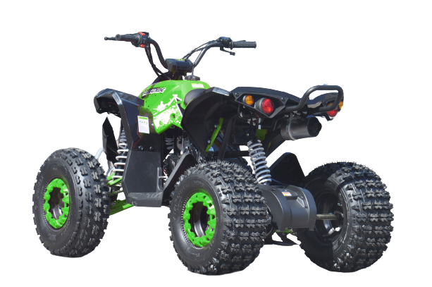 QUAD ATV RENEGADE 125 XXL RUOTE 8