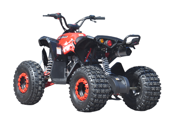 QUAD ATV RENEGADE 125 XXL RUOTE 8