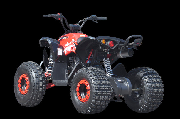 QUAD ATV RENEGADE 125 XXL RUOTE 8