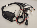 IMPIANTO ELETTRICO COMPLETO PER QUAD KAYO EA70