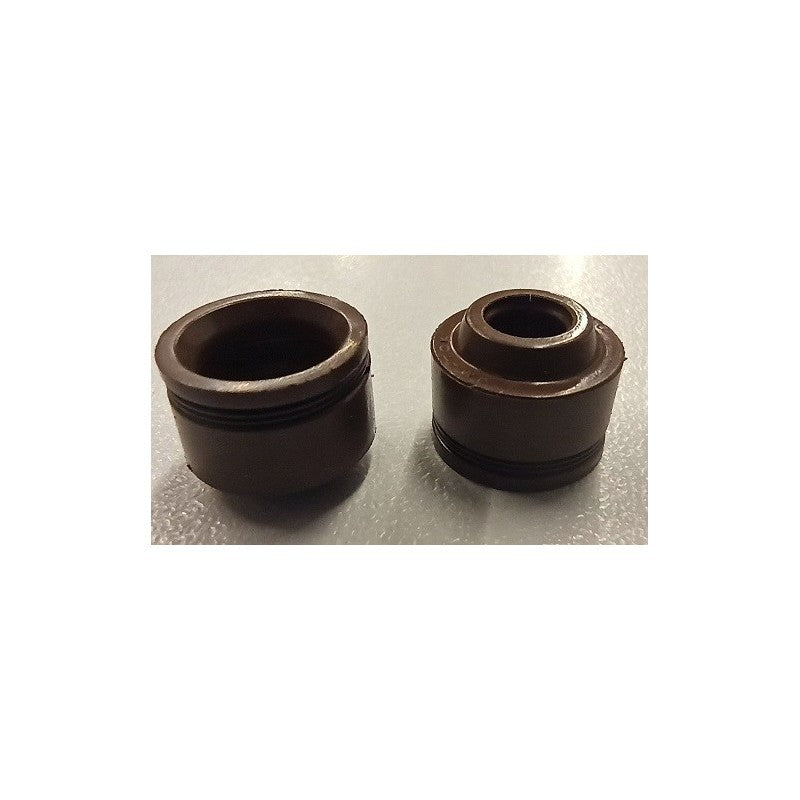 SET GOMMINI TENUTA OLIO GUIDA VALVOLA PER BLOCCO MOTORE PIT BIKE ZS155