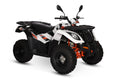 QUAD KAYO AU300 OMOLOGATO L7e TARGA BIANCA 2 POSTI