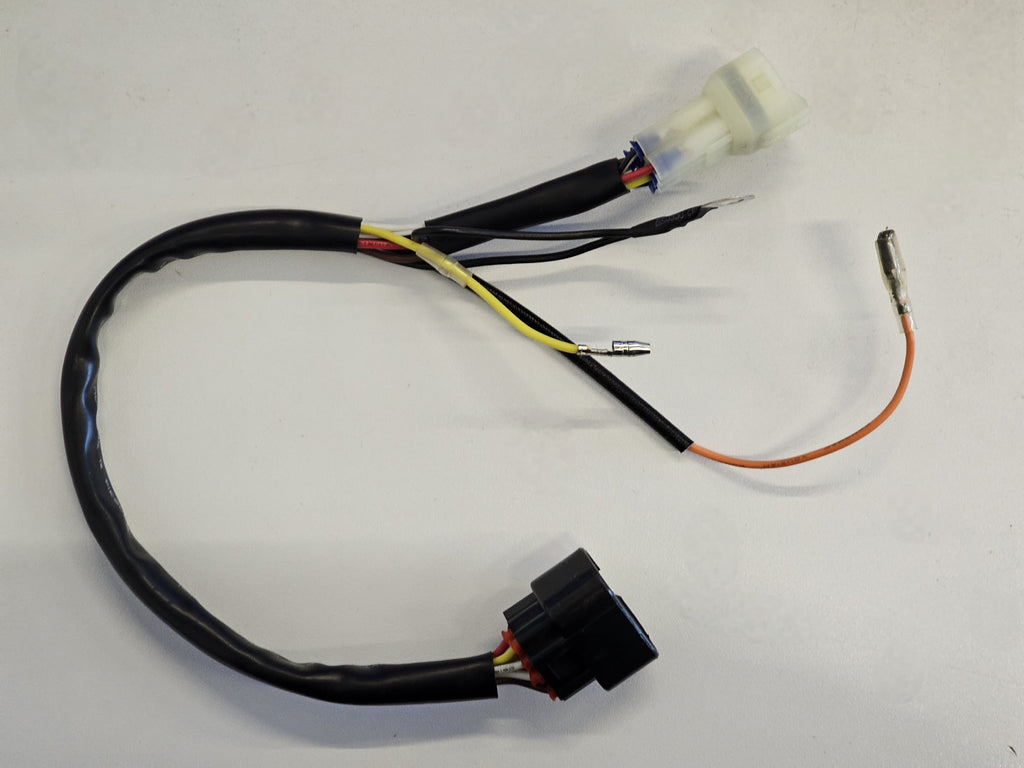 CABLAGGIO ELETTRICO PER CENTRALINA BLOCCO MOTORE XN125 CROSS KOSHINE 125cc