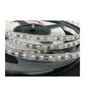 5mt Strip led 3528 STRISCIA IP20 120led/m interno bianco caldo neutro freddo
