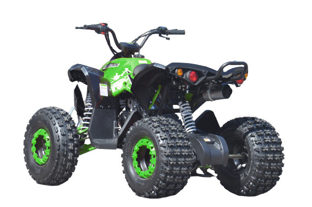 Quad ATV Renegade 125 Xxl Ruote 8