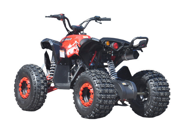 Quad ATV Renegade 125 Xxl Ruote 8