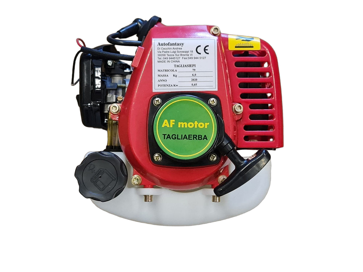 Blocco Motore 25cc 0,65kw Tagliasiepi Tagliaerba Completo Frizione