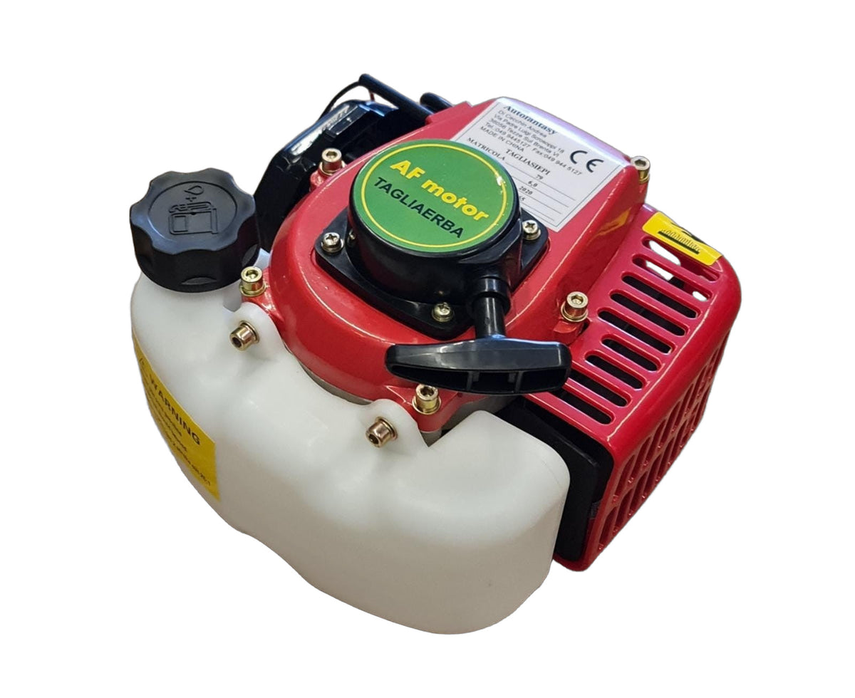 Blocco Motore 25cc 0,65kw Tagliasiepi Tagliaerba Completo Frizione