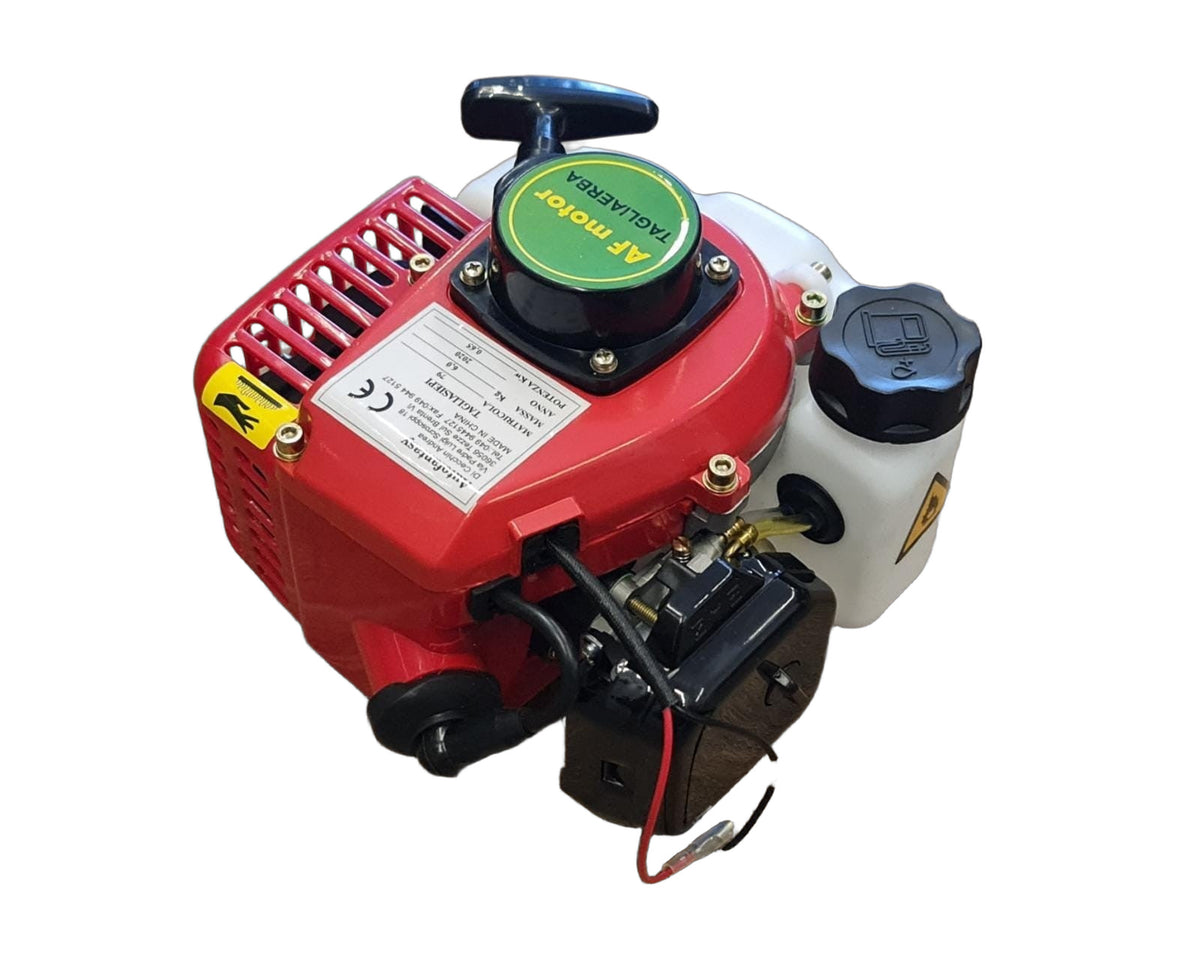 Blocco Motore 25cc 0,65kw Tagliasiepi Tagliaerba Completo Frizione