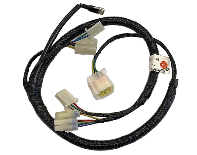 Cablaggio Impianto Elettrico Minigp KAYO Mr150 150cc