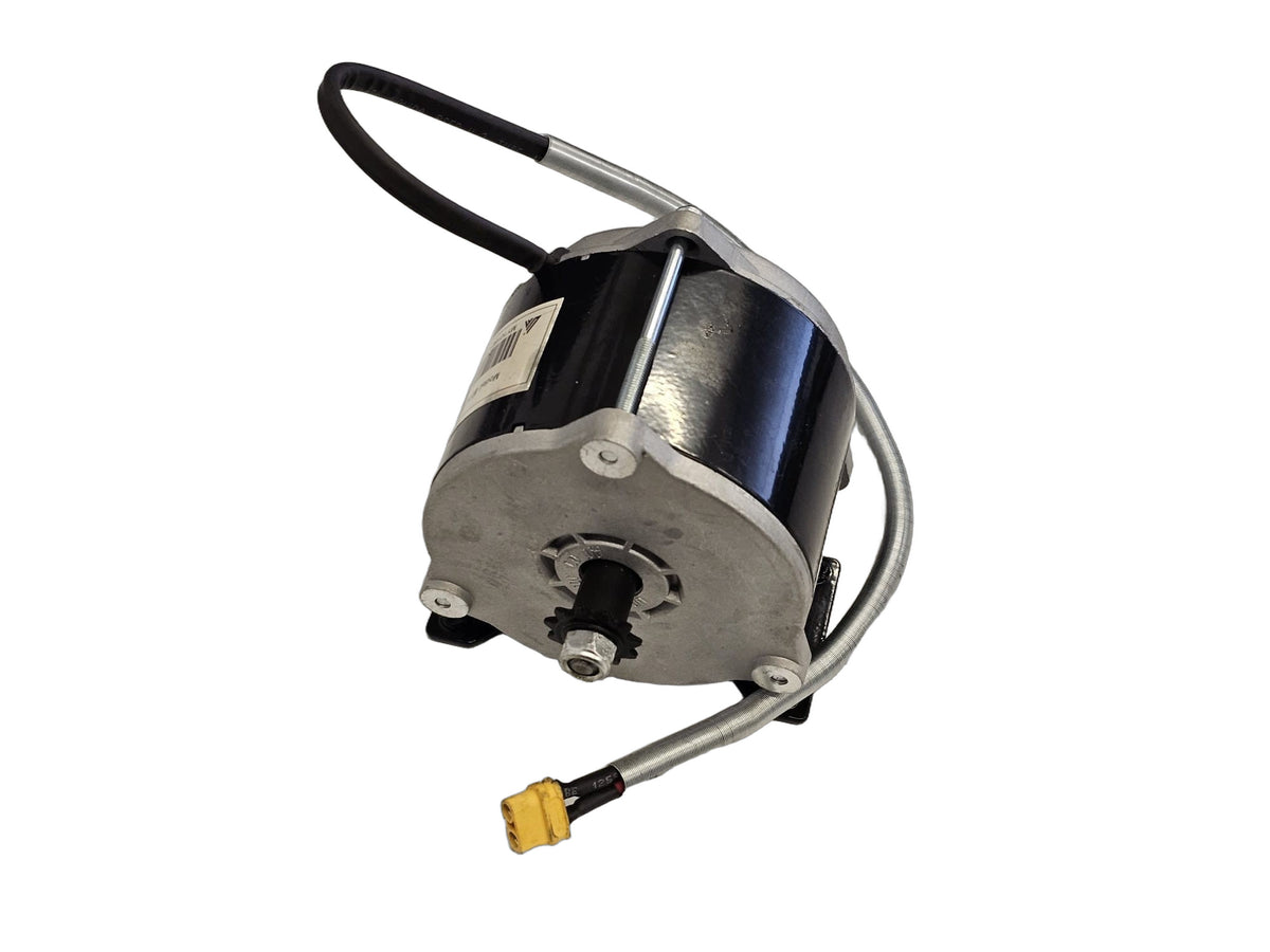 Motore Elettrico 800W 36V Per ATV Ssv KAYO Ea50 Es50