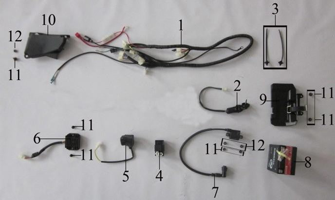 CDI QUAD PANTERA 250cc 4+2 PIN CENTRALINA AVVIAMENTO TIPO LEM
